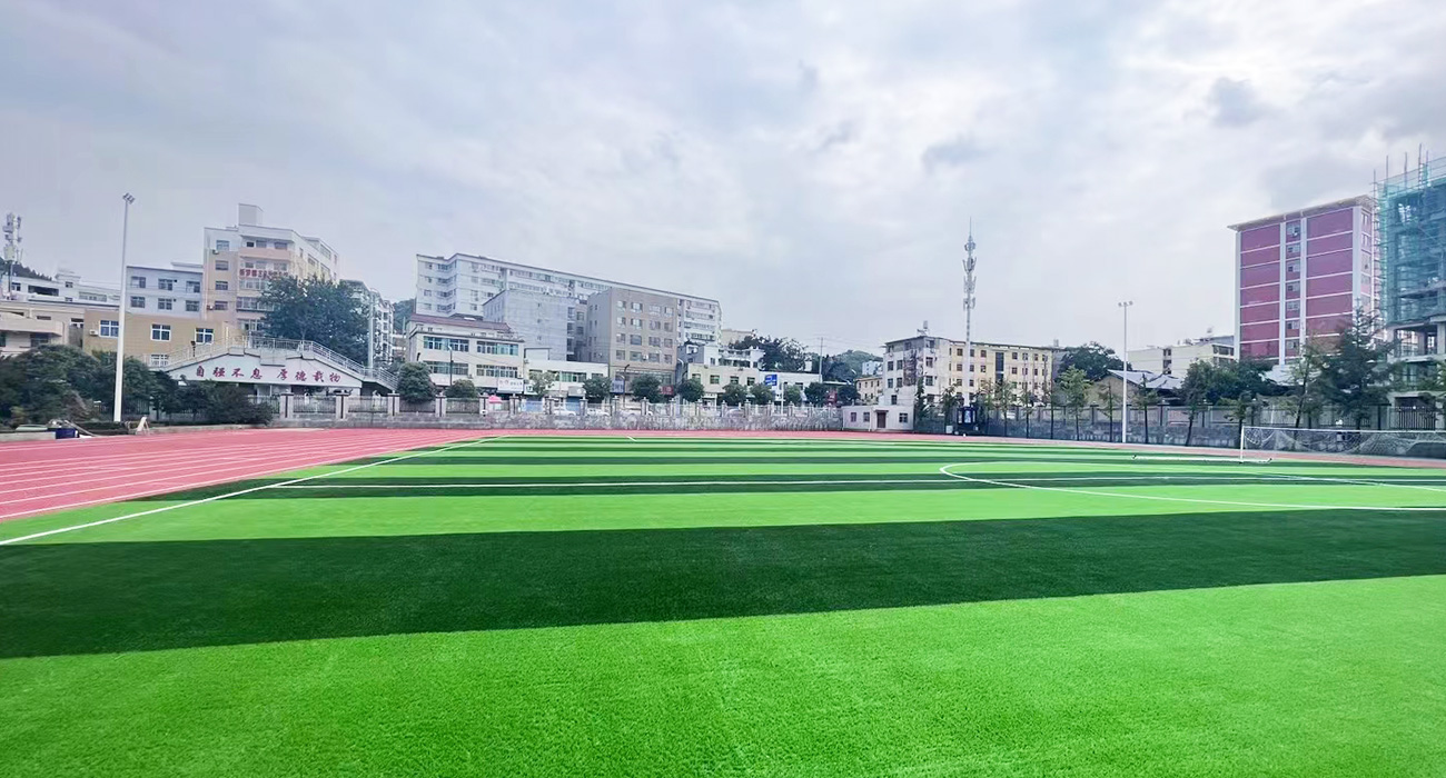 陕西商洛市山阳县中学人造草坪