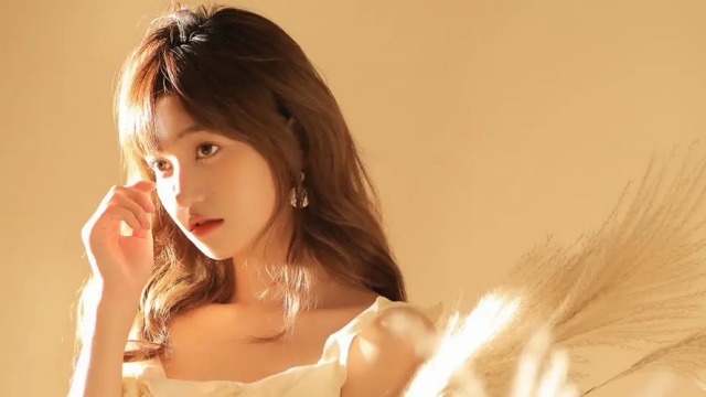 必威公司：发现新奇的居家健身奇迹 – 探索室外体育健身器材配件的世界