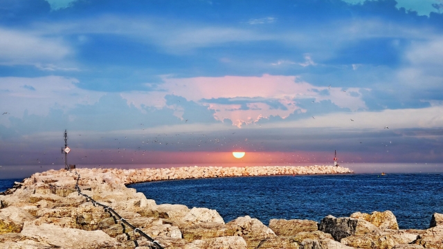 剖析塑胶跑道材料的诸多型号，助力你的选购决策！